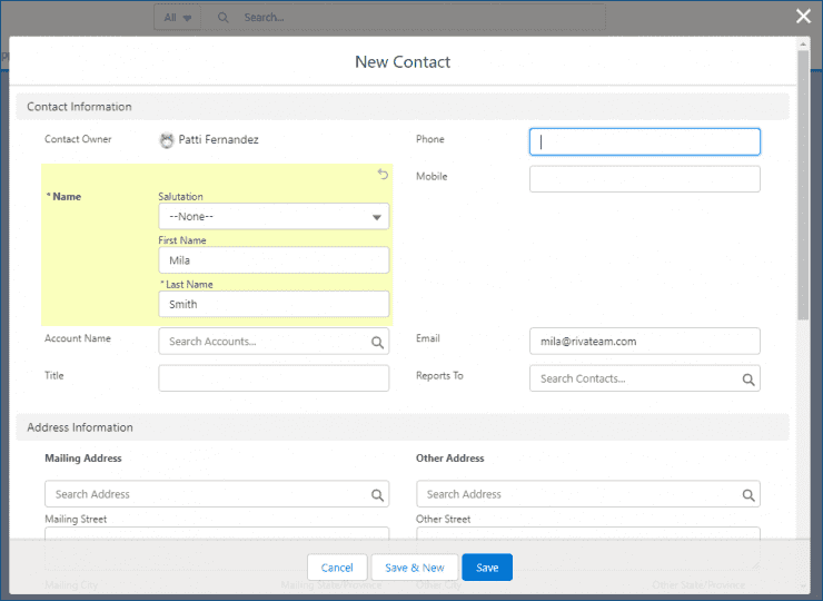 The email field is automatically added to the CRM form.